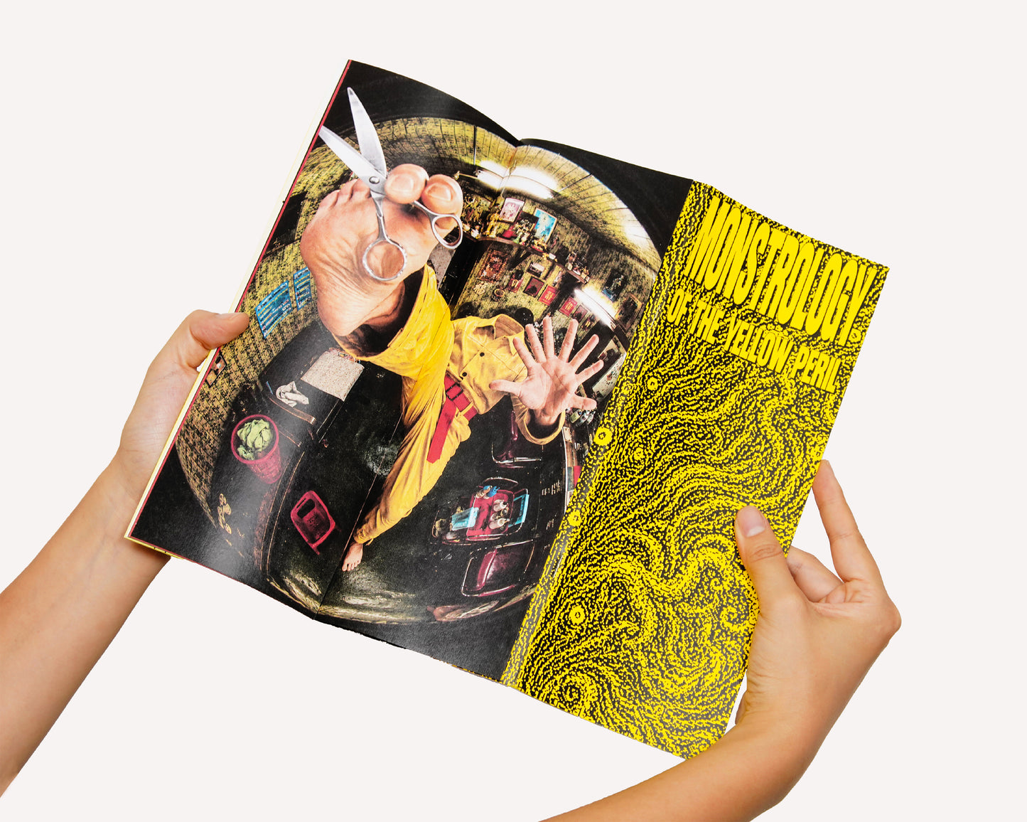 MONSTROLOGY OF THE YELLOW PERIL / 黄祸怪物志