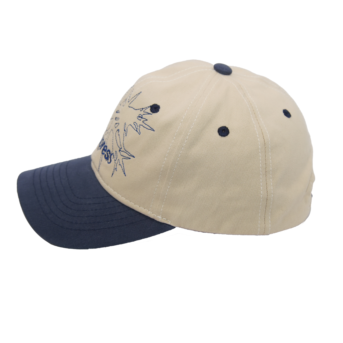 Compass Hat